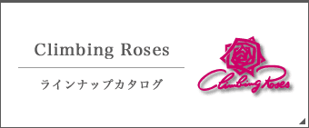 Climbing Rosesラインナップカタログ